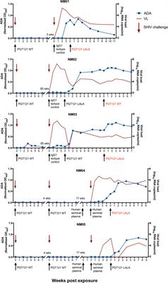 Anti-Drug Antibodies in Pigtailed Macaques Receiving HIV Broadly Neutralising Antibody PGT121